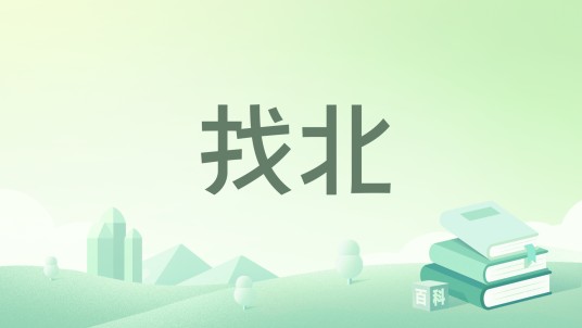 找北(2023年中国民主法制出版社出版的图书)