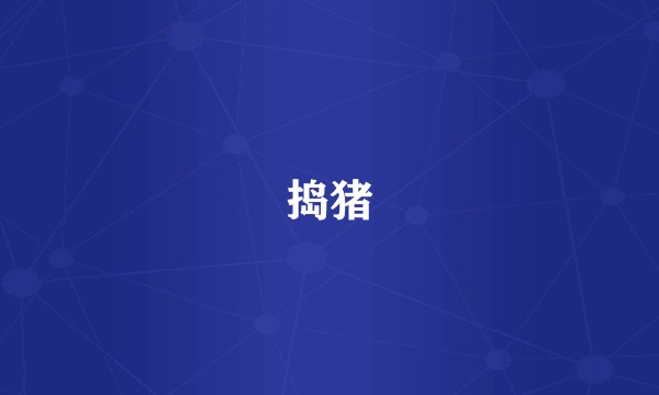 捣猪