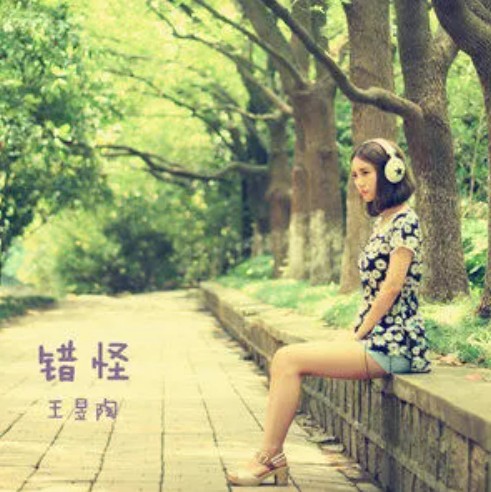 错怪(王昱陶演唱的歌曲)