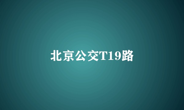 北京公交T19路