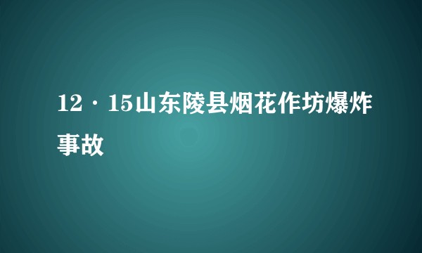 12·15山东陵县烟花作坊爆炸事故