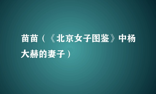 苗苗（《北京女子图鉴》中杨大赫的妻子）