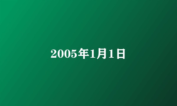 2005年1月1日