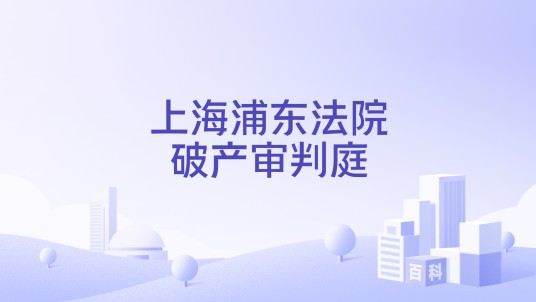 上海浦东法院破产审判庭