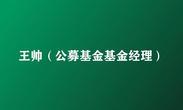 王帅（公募基金基金经理）