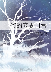 王爷的宠妻日常