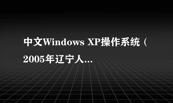 中文Windows XP操作系统（2005年辽宁人民出版社出版的图书）