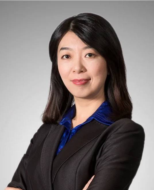 孙静(中国智度股份董事)