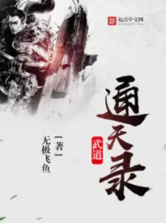 武道通天录