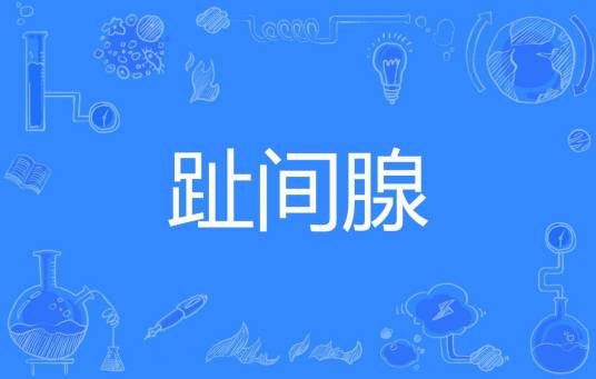 趾间腺