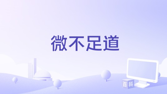 微不足道（2011年瑞恩·库格勒执导的电影）