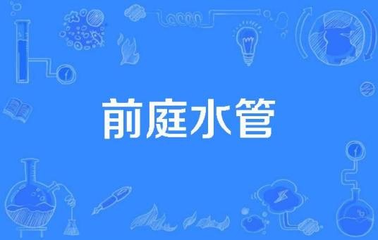 前庭水管