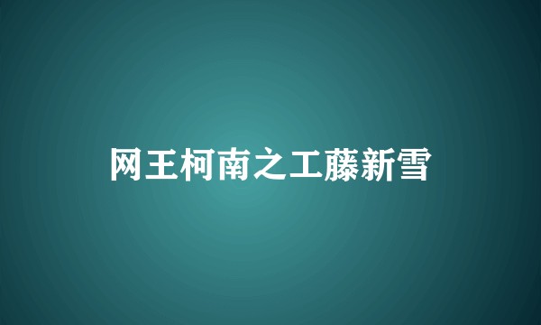 网王柯南之工藤新雪