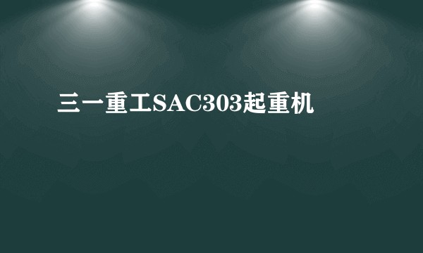 三一重工SAC303起重机