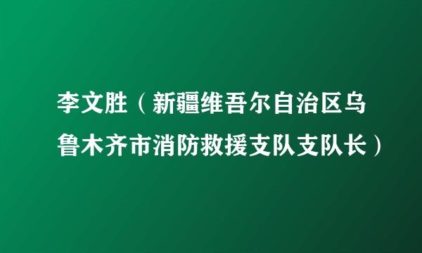 李文胜（新疆维吾尔自治区乌鲁木齐市消防救援支队支队长）