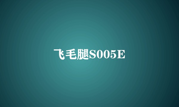 飞毛腿S005E