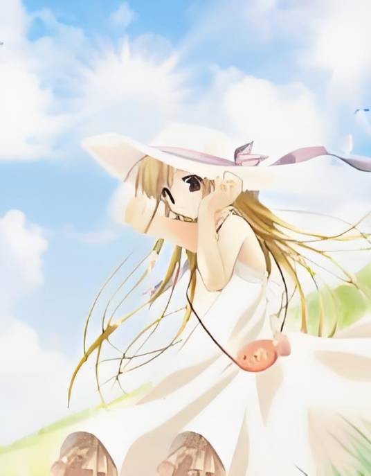 从天而降的阳光少女
