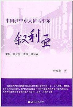 中国驻中东大使话中东：叙利亚