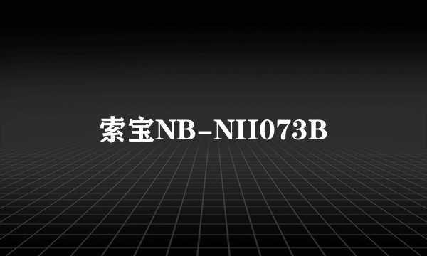 索宝NB-NII073B