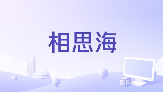相思海（黄乙玲演唱的台湾闽南语歌曲）