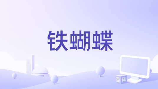 铁蝴蝶（乌克兰2023年柳比执导的电影）
