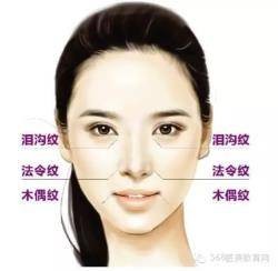 面部三八线
