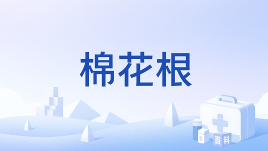 棉花根（中药）
