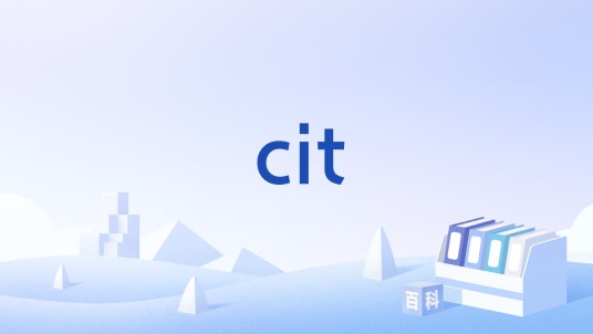 cit（英语单词）