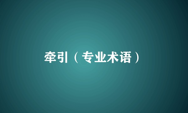 牵引（专业术语）