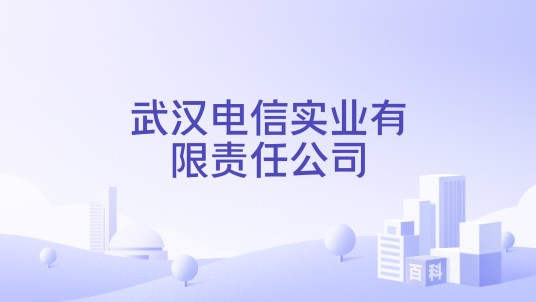 武汉电信实业有限责任公司