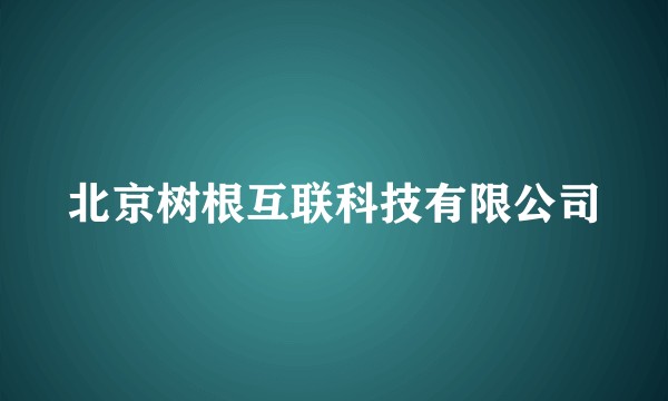 北京树根互联科技有限公司