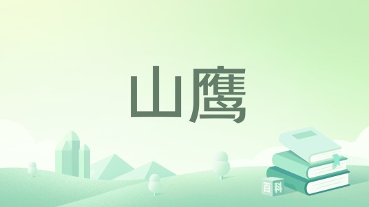 山鹰(徐军创作的小说作品)