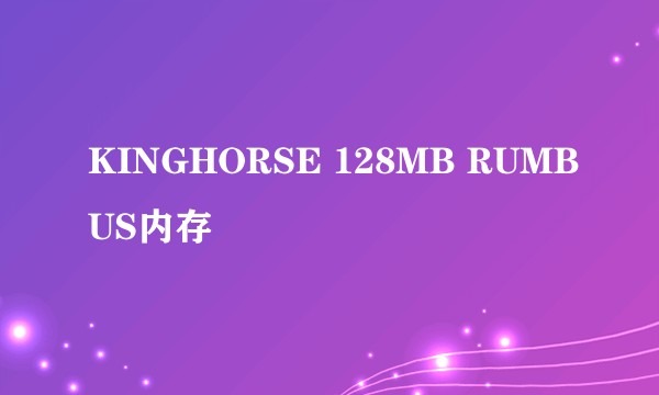 KINGHORSE 128MB RUMBUS内存