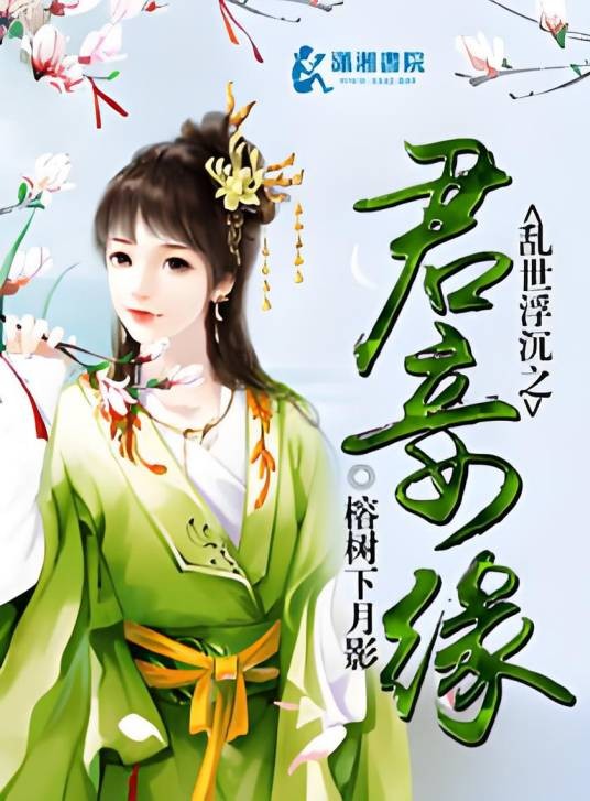 乱世浮沉之君妾缘