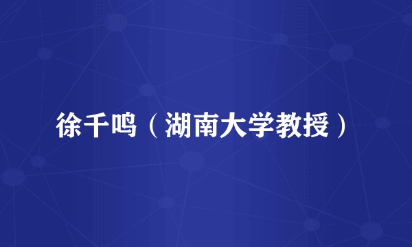 徐千鸣（湖南大学教授）
