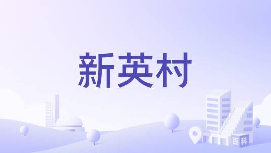 新英村(江苏省盐城市盐都区潘黄街道下辖的行政村)