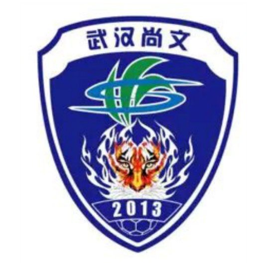 武汉三镇足球俱乐部