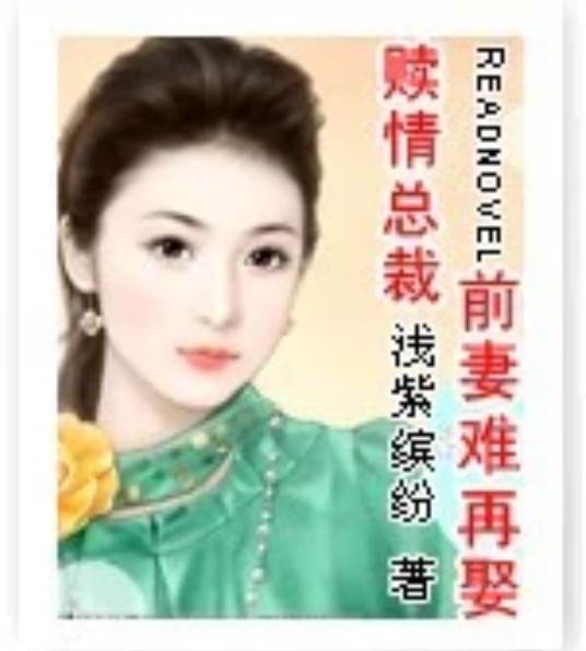 赎情总裁之前妻难再娶