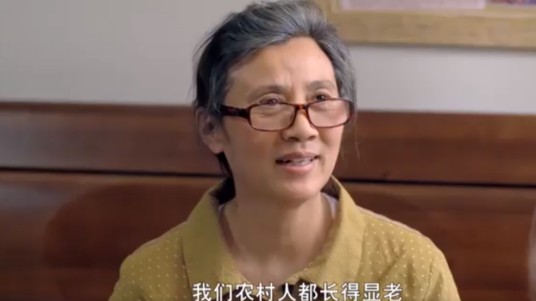 闫芳（家庭情感剧《跟我回家》中的角色）