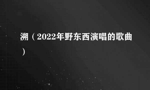 溯（2022年野东西演唱的歌曲）