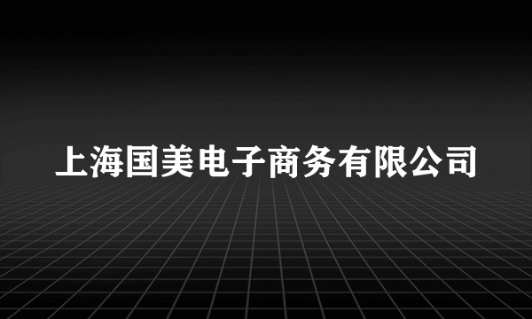 上海国美电子商务有限公司