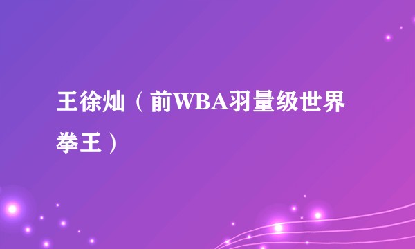 王徐灿（前WBA羽量级世界拳王）