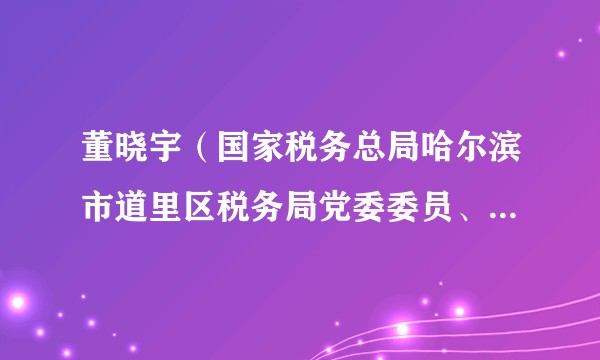 董晓宇(国家税务总局哈尔滨市道里区税务局党委委员、纪检组组长、三级高级主办)