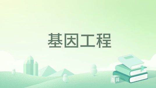 基因工程（2005年科学出版社出版的图书）