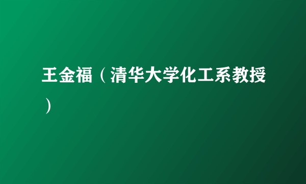 王金福(清华大学化工系教授)