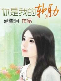你是我的软肋（蓝雪泪著网络小说）