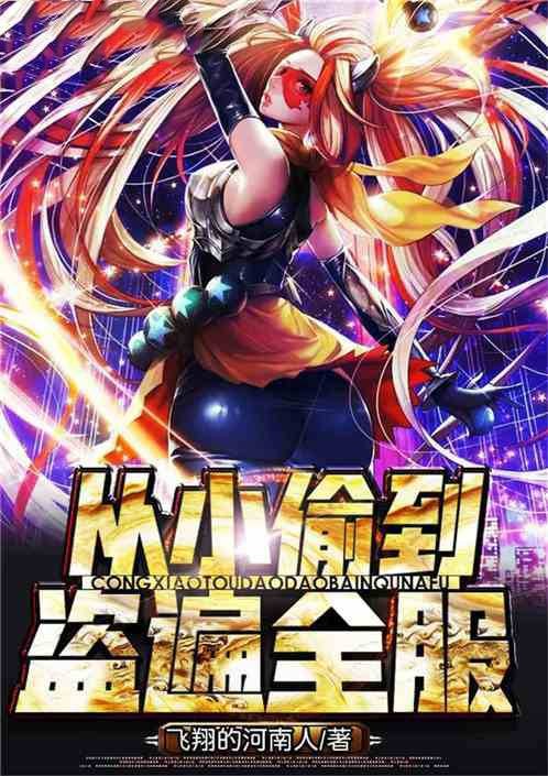 从小偷到盗遍全服