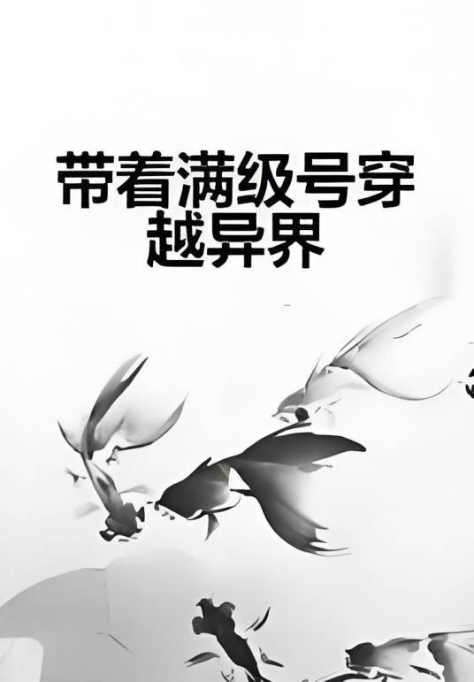 带着满级号穿越异界