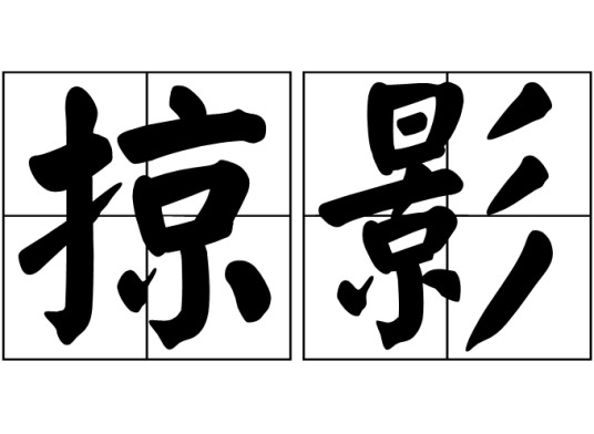 掠影（汉语词汇）