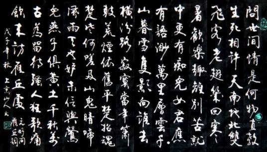 摸鱼儿·恨人间情是何物